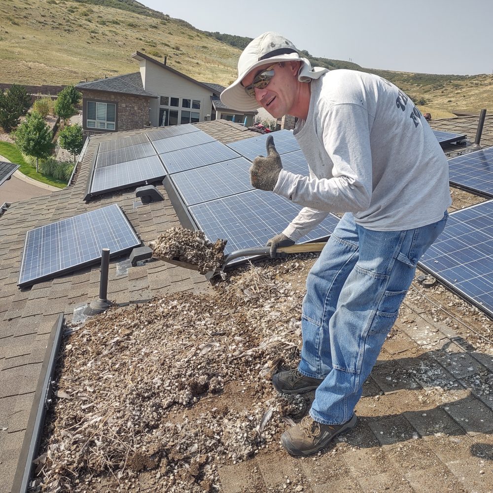 Solar Companies Installation Near Me Fort Collins Colorado