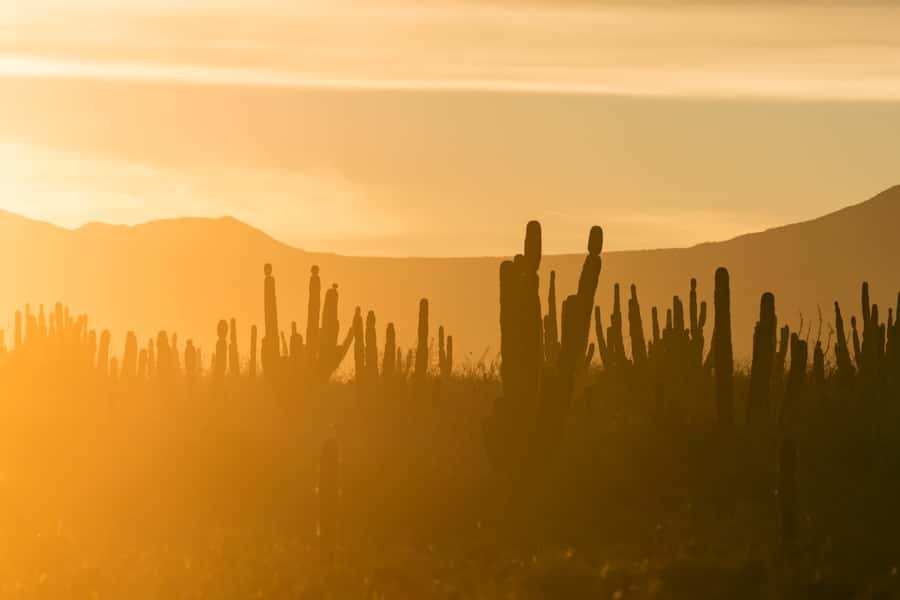 Photo Solar Panels Arizona