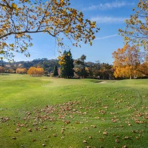 Photo Solar Panel Company